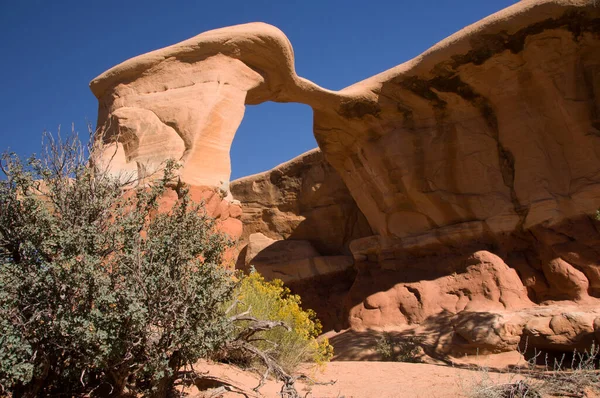 Jardim Diabo Utah Usa — Fotografia de Stock