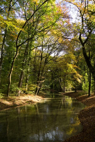 Ősz Parkban — Stock Fotó