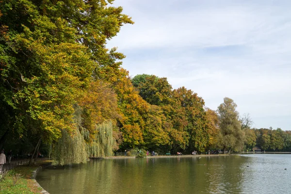 Outono Paisagem Com Árvores Lago — Fotografia de Stock