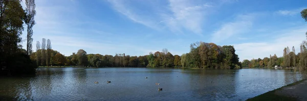 Blick Auf Den Fluss Wald — Stockfoto