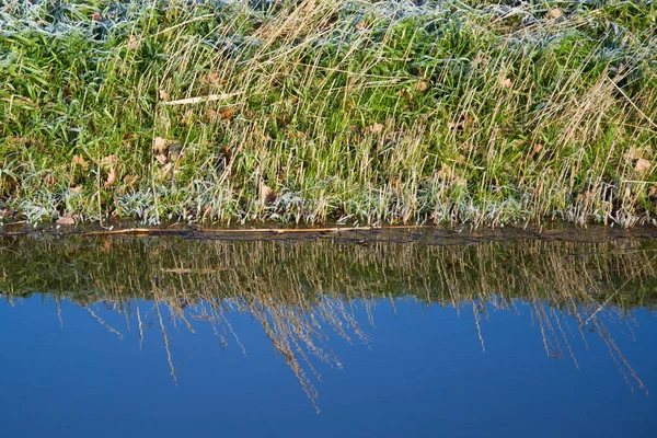 Reflet Lac Dans Forêt — Photo