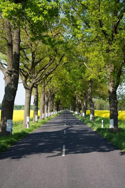 Bundesstrasse Spring Německo — Stock fotografie