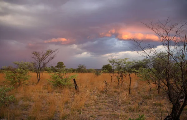Намибия Страна Юго Западе Африки — стоковое фото