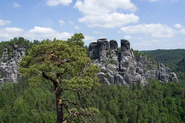 Elbe Sandstone Mountains Σαξονία Γερμανία — Φωτογραφία Αρχείου