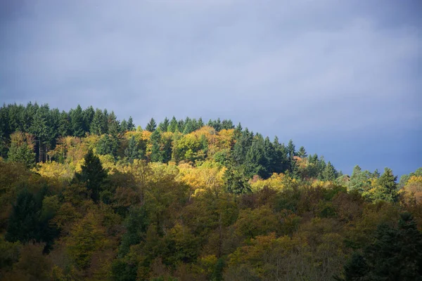 Niskie Pasmo Górskie Eifel Zachodnich Niemczech Wschodniej Belgii — Zdjęcie stockowe