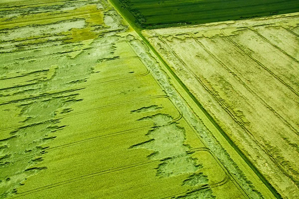 Zöld Mezők Németországban Aerial Photography — Stock Fotó