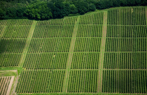 Grüne Wiesen Deutschland Luftaufnahmen — Stockfoto