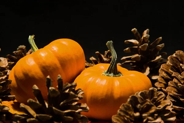 Herbst Stillleben Mit Kürbissen Und Blättern Auf Schwarzem Hintergrund — Stockfoto