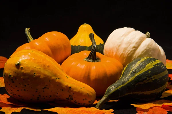 Calabazas Gafas Fondo Negro — Foto de Stock