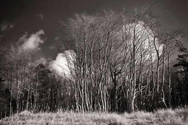 Krásná Příroda Krajina Pozadí — Stock fotografie