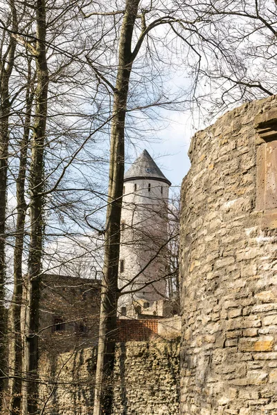 Vista Panorámica Majestuosa Arquitectura Medieval Del Castillo —  Fotos de Stock