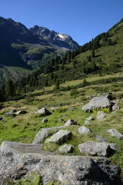 Stubai Alpes Stubai Stubai Valley Mountain Mountains Mountains High Mountains — Foto de Stock