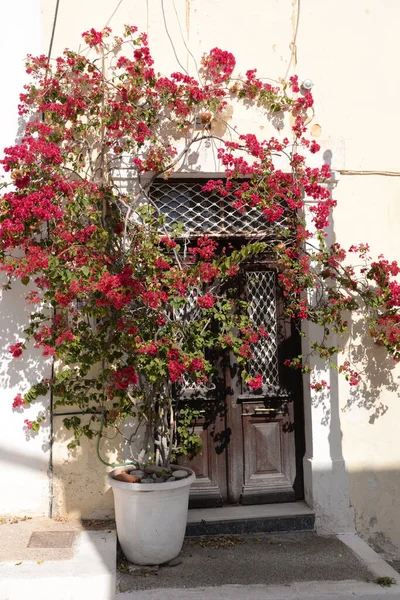 Puerta Flores Decoración Flores Maleriscg Sitia Creta Grecia Costa Este — Foto de Stock