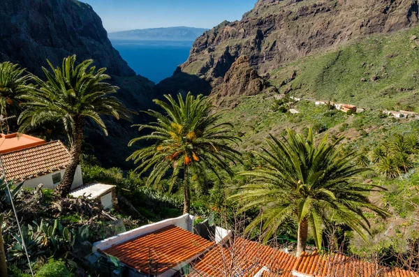 Tenerife Nejlehoučtější Španělských Kanárských Ostrovů Mimo Západní Afriku — Stock fotografie