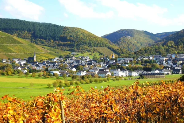 Vinby Veldenz Sidodal Mosel — Stockfoto