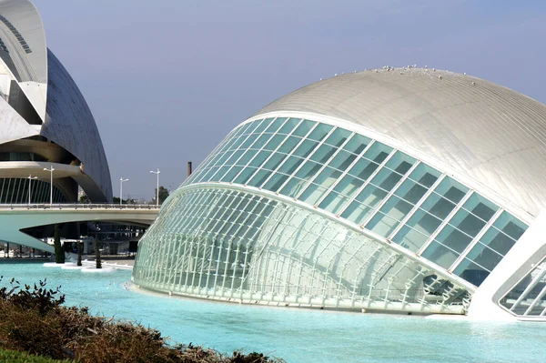 Calatravas Architecture Valencia City Most Creative Scientific — Stock Photo, Image