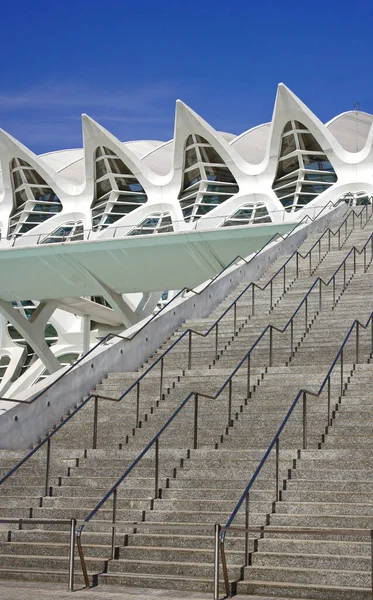 Valencia Daki Calatravas Mimarisi Yaratıcı Bilimsel Şehir — Stok fotoğraf