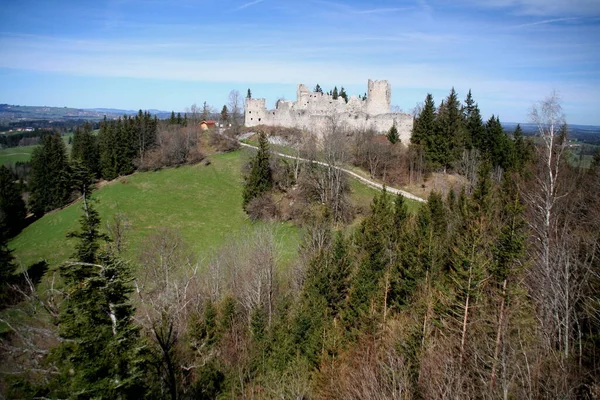 Vista Panorâmica Majestosa Arquitetura Medieval Castelo — Fotografia de Stock