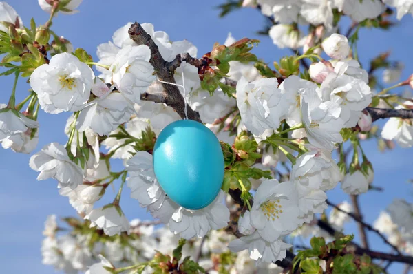 Uovo Pasqua Uovo Pasqua Pasqua Pasqua Tradizione Colorato Colore Colore — Foto Stock