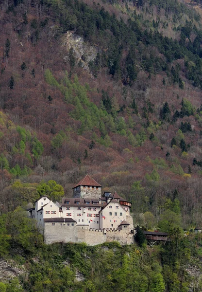 Κάστρο Vaduz Πριγκιπάτο Του Λιχτενστάιν — Φωτογραφία Αρχείου