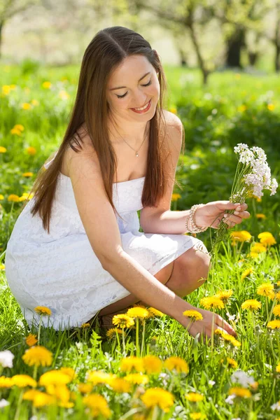 Młoda Kobieta Zbiera Kwiaty Wiosną — Zdjęcie stockowe