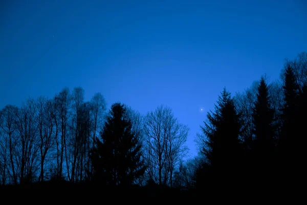 Stromy Večerní Obloze — Stock fotografie
