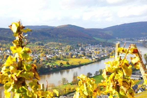 Village Viticole Wehlen Der Mosel Automne — Photo