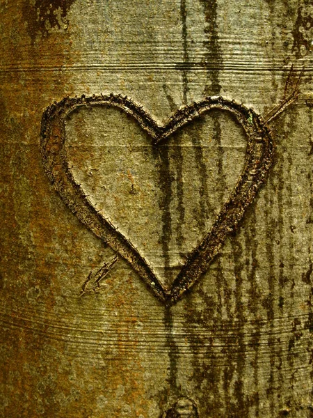 Heart Old Wooden Background — Stock Photo, Image