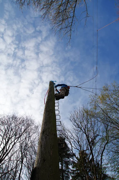 Subir Pamper Pole Experimente Treinamento Personalidade Paedagógica Treinamento Equipe Rope — Fotografia de Stock