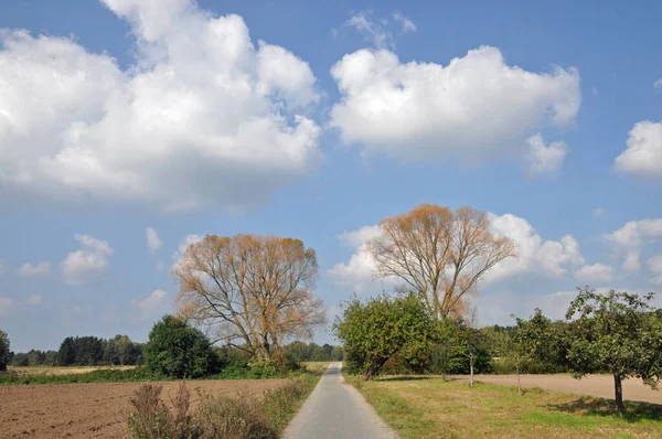 Strada Sterrata Pista Ciclabile Albero Alberi Paesaggio Nube Nube Cielo — Foto Stock