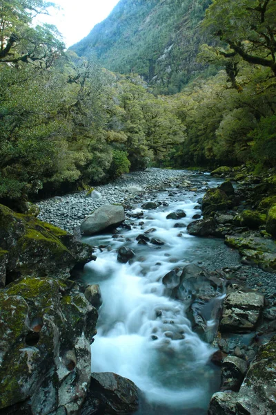 Chasm State Highway Fiordland National Park New Zealand — Stock Photo, Image