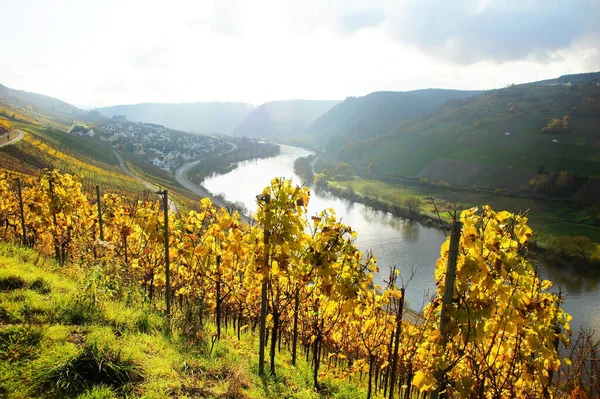 秋にワイン村ブルグとモーゼル渓谷 — ストック写真
