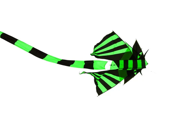 Dragón Volador Colorido Sobre Fondo Blanco — Foto de Stock