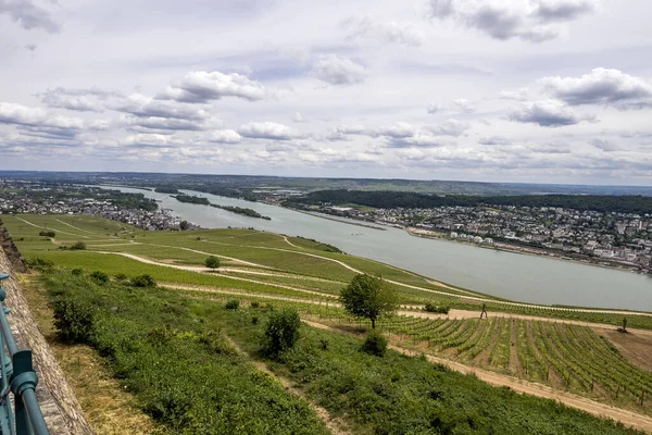 Rhine One Major European Rivers — Stock Photo, Image