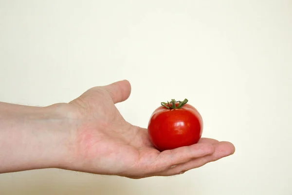 Tomate Mão Aberta — Fotografia de Stock