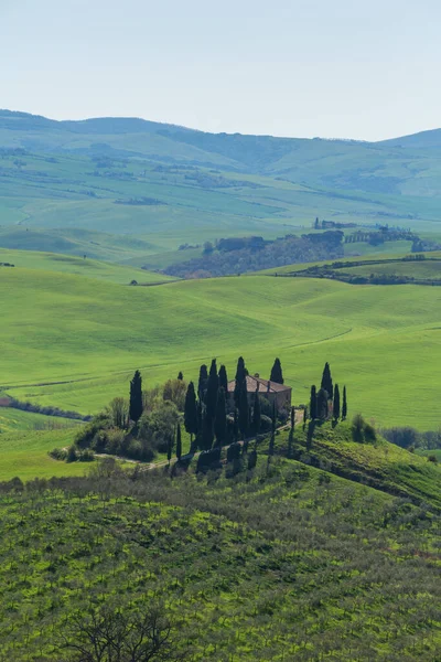 Een Toscaans Landhuis Met Cipressen Het Platteland Van Toscane — Stockfoto