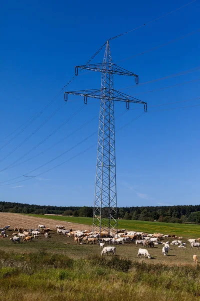 Електроенергетичні Лінії Полі — стокове фото