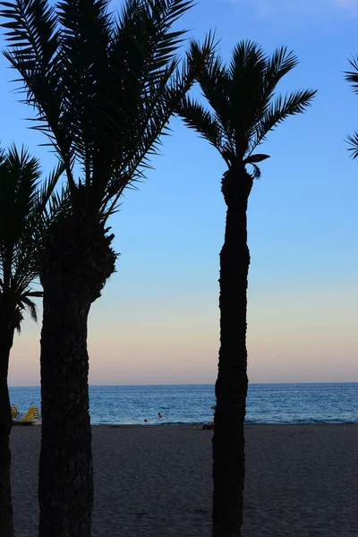 Senige Beach Benidorm Spanje Costa Blanca — Stockfoto