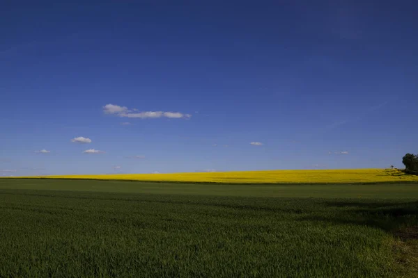 Paesaggio Ulm Einsingen30 — Foto Stock