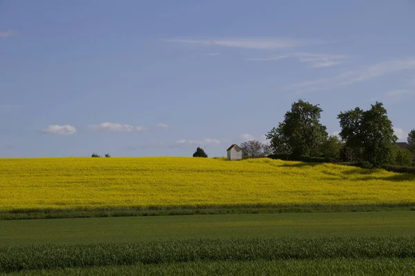 Paisagem Ulm Einsingen32 — Fotografia de Stock