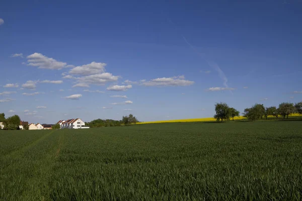 Paisagem Ulm Einsingen40 — Fotografia de Stock