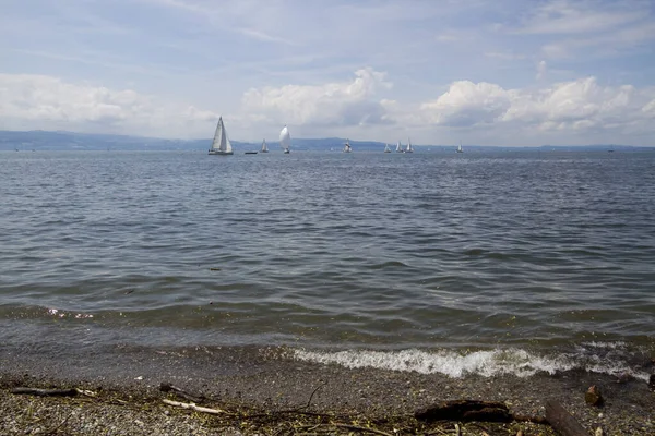 Landscape Lake Constance18 — Stock Photo, Image