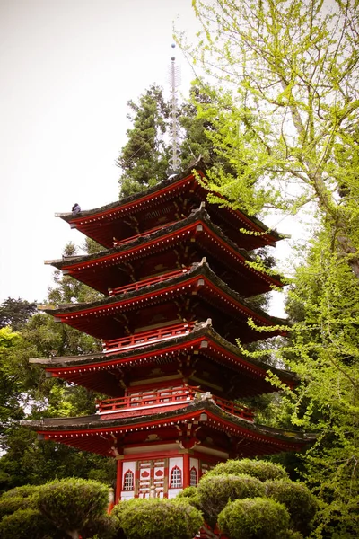 Japanese Tea Garden San Francisco — Stock Photo, Image