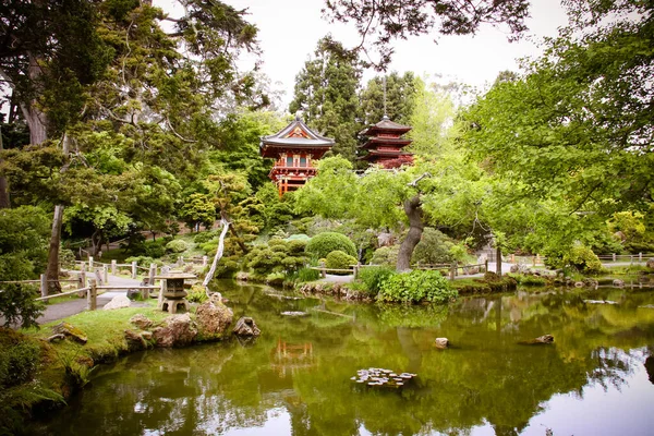 Jardin Japonais Thé San Francisco — Photo