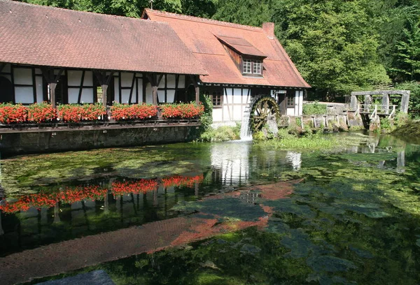 Młotnicy Blautopf — Zdjęcie stockowe