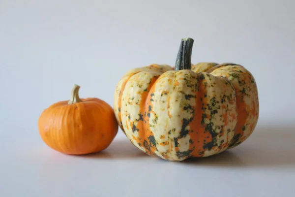 Calabazas Ecológicas Verduras Calabaza Alimentos Vegetales — Foto de Stock