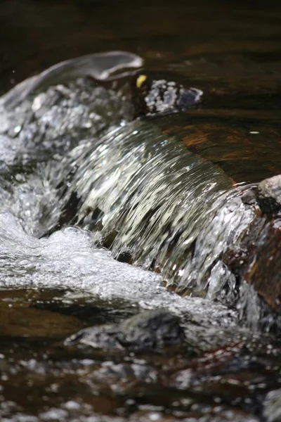 Cascade Dans Forêt — Photo