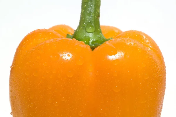 Paprika Capsicum Anual Paprikaschote —  Fotos de Stock