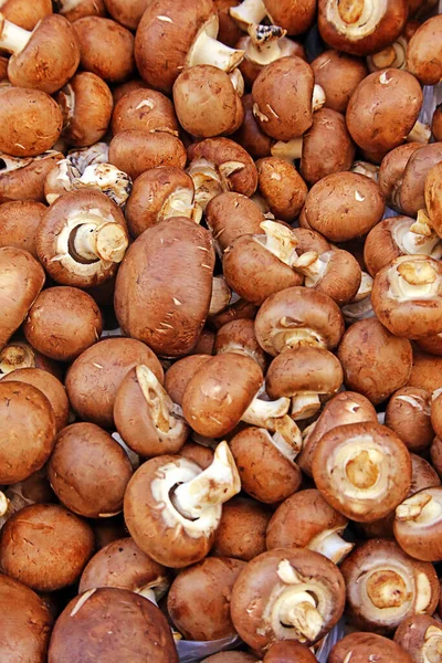 Braune Pilze Auf Dem Wochenmarkt — Stockfoto