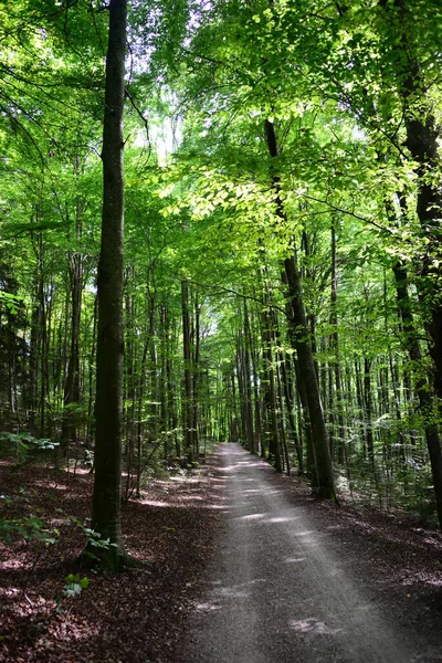 Krásná Příroda Krajina Pozadí — Stock fotografie